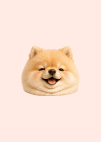 Fluffy & Soft - BMI 28 Animal1