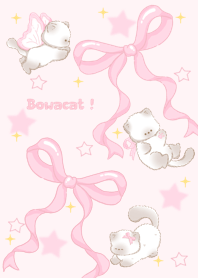 Bowacat!