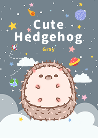 misty cat-Cute Hedgehog Galaxy gray