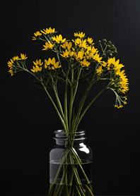 Ultimate Black - Background 06d615