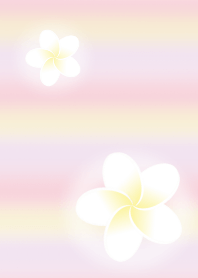 plumeria lei
