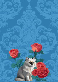 rose and white cat on blue JP