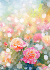 Beautiful rose flower(R2702)