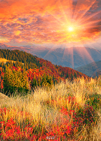 Beautiful autumn scene from Japan