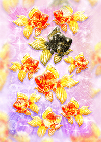 Goldfish FengShui that energizes fortune