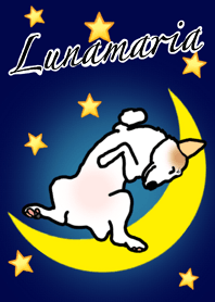 ジャックラッセルテリアのルナマリアちゃん