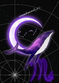 鲸鱼和天蝎座-紫色-