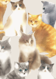 Healing space for cats to r...