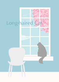 long-haired cat*spring