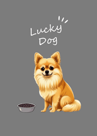 Cute Pomeranian dog(fog gray)