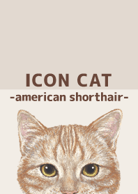 ICON CAT - American Shorthair - BROWN/06