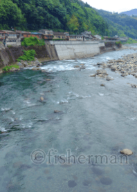 Gokase River