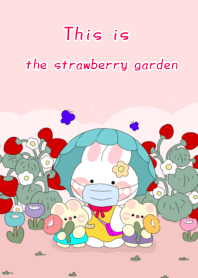 This is the strawberry garden