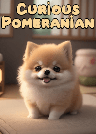 好奇的博美犬 VOL.10