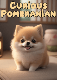 Curious Pomeranian VOL.10
