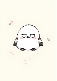 Kyomu Enaga | Soft & Simple