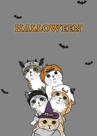 meow's halloween2 / dark grey .jp