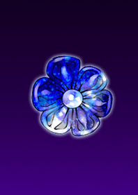 Sapphire Purple Flower @ Winter Feature