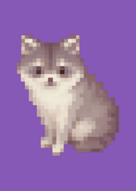 Raccoon Pixel Art Theme  Purple 01