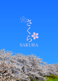Sakura vol.3 theme