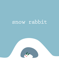 Lovely Snow Rabbit