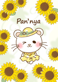 Panda cat, Pan'nya and sunflower(summer)