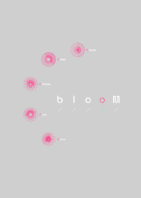 bloom