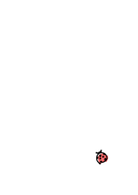 [lucky Theme]Ladybug