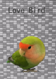 可愛いコザクラインコ