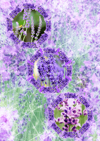 厄を祓い運気を上げるラベンダーオクト