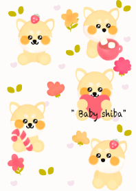Little Shiba 2