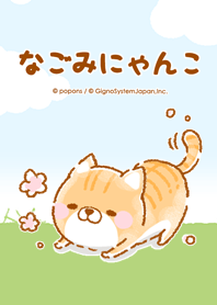 ❤なごみにゃんこ❤のんびり