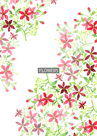 water color flowers_525