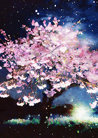 Beautiful night cherry blossoms#688