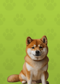 Cute Shibainu Theme Green 03