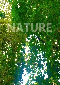 The nature01