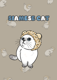 siamesecat6 - khaki