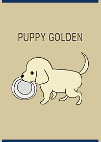 Navy / Puppy golden