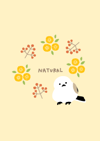 Long-tailed tit flowers and fruit11Japan