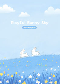 Playful Bunny Sky Meadow Day