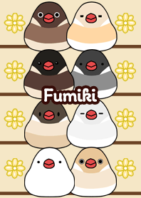 Fumiki Round and cute Java sparrow