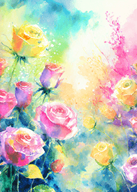 Beautiful rose flower(R1238)