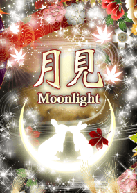 Tsukimi moonlight