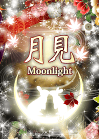 月見 moonlight