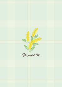 Simple Mimosa29 from Japan