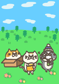 I want to say Meowing 8th.