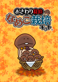 Mushroom Garden - autumn -