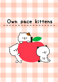 Own pace kittens