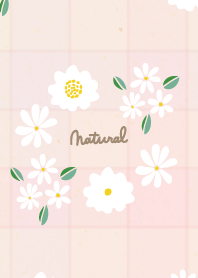 Small white flower cute12 from Japan