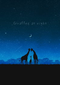 Giraffes at night